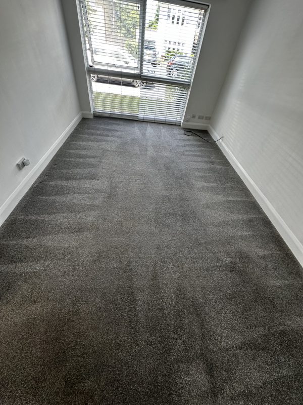 eco carpet cleaning Milton Keynes living room results