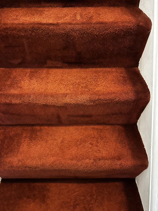 carpet cleaning Newport Pagnell stairs before and after