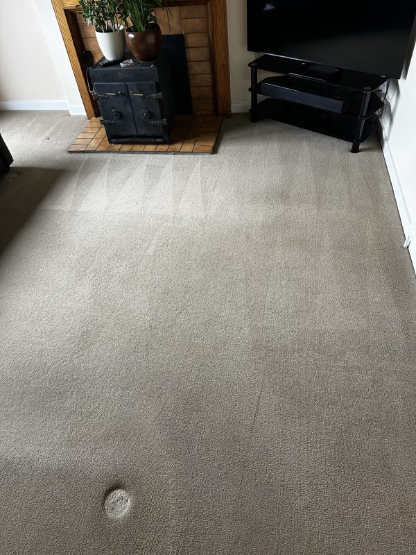 deep carpet cleaning Olney bedroom before and after