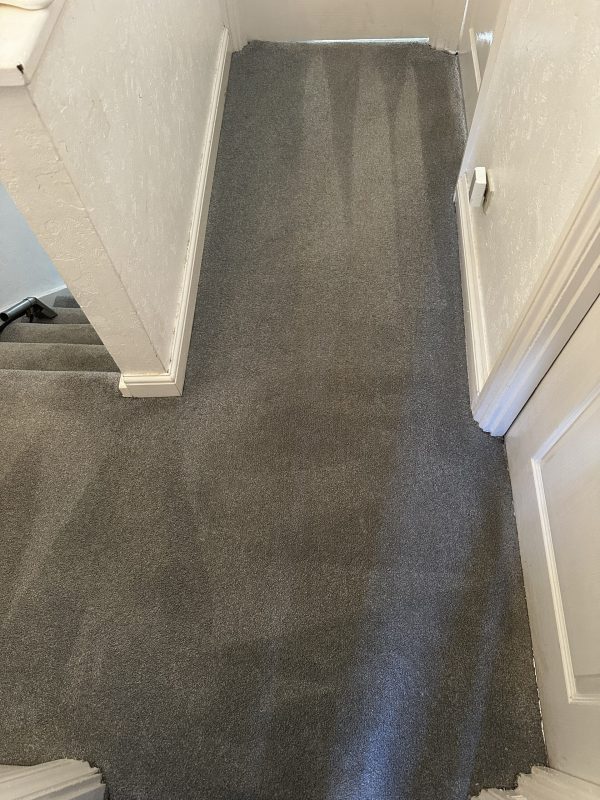 professional carpet cleaning Bletchley hallway stain removal
