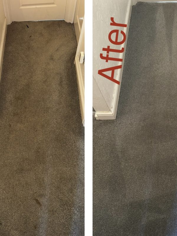 eco carpet cleaning Milton Keynes before and after results